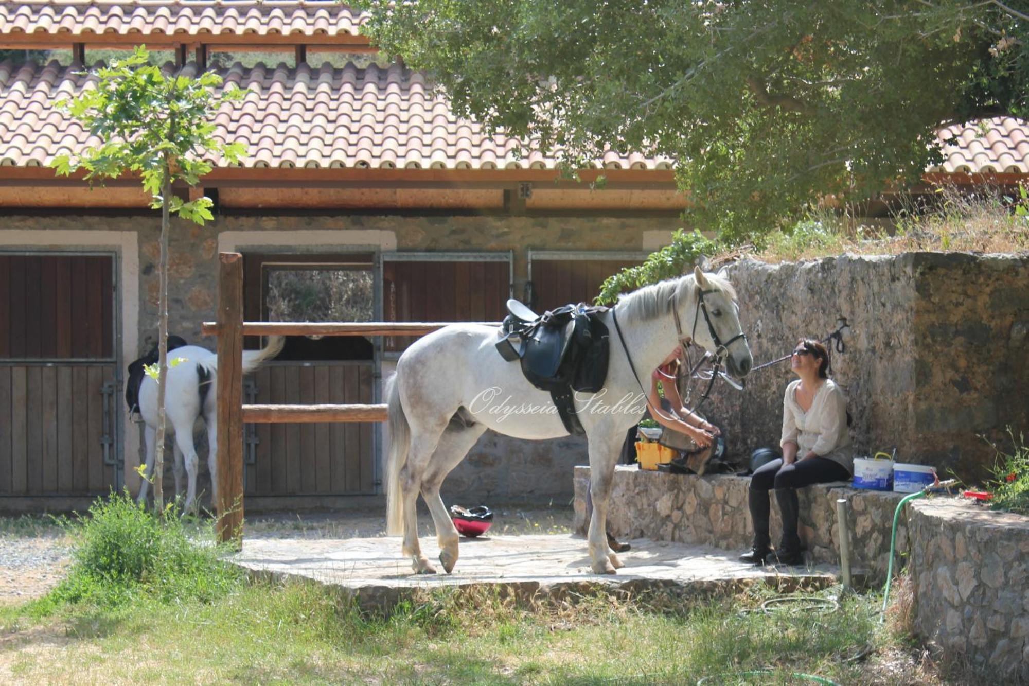 Country Velani Отель 3*
