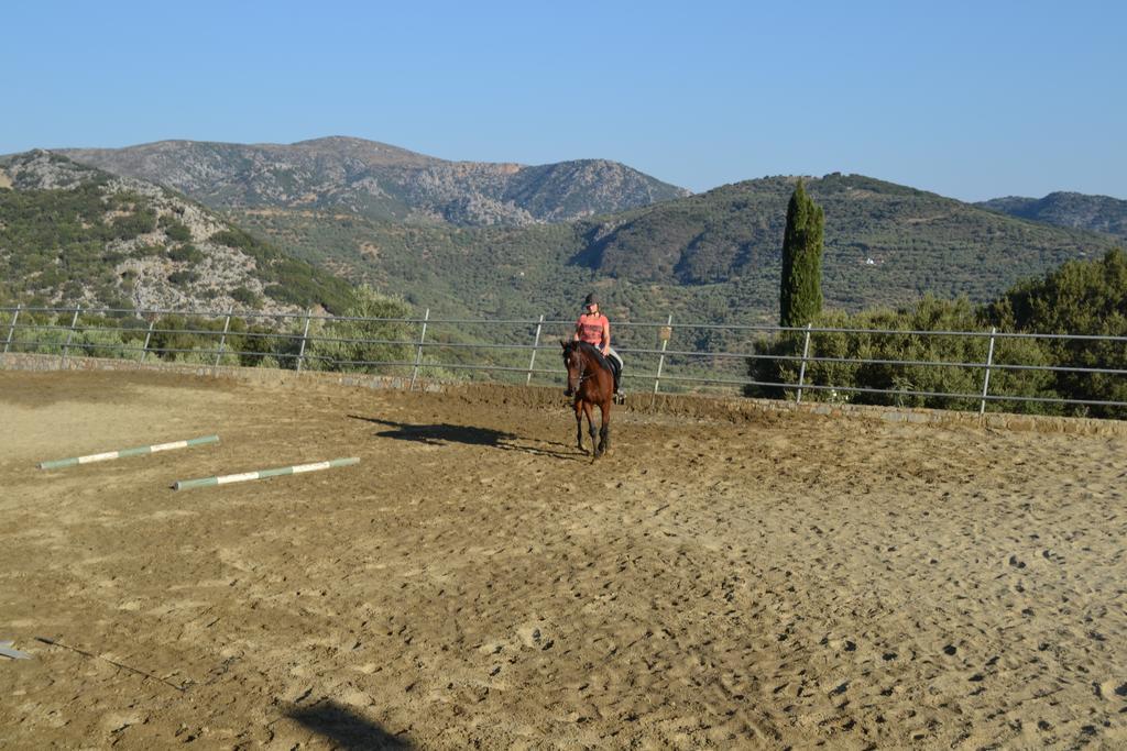 Country Velani