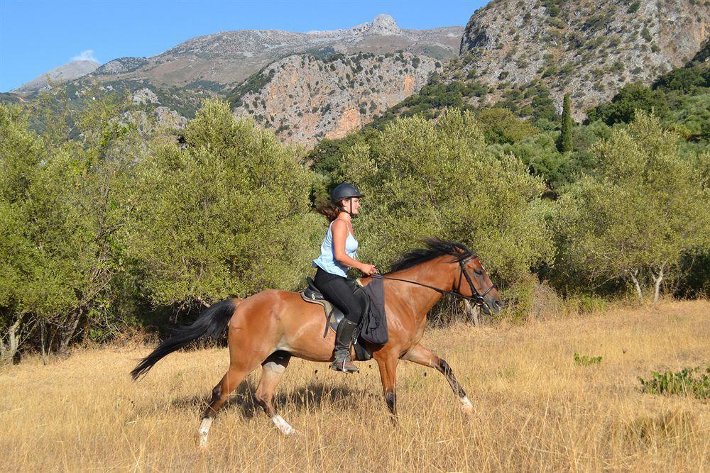 Country Velani 3*