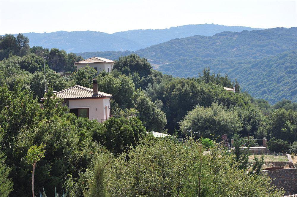 Country Velani 3* Αβδού